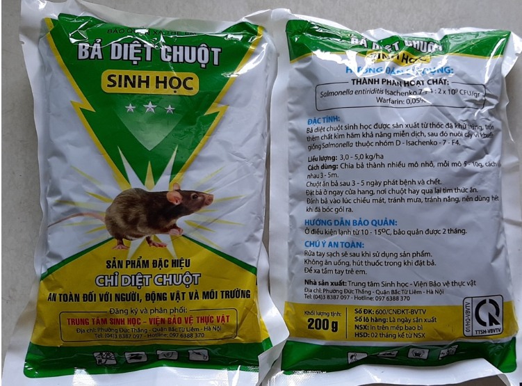 HƯỚNG DẪN CÁC BIỆN PHÁP DIỆT CHUỘT VỤ XUÂN NĂM 2025